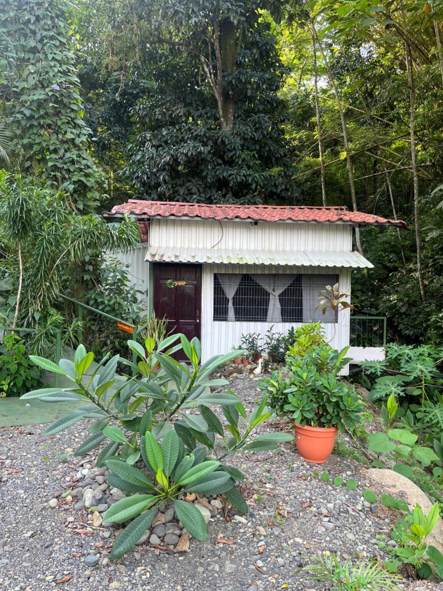 Casa Escondida Apartments Manuel Antonio Exterior photo